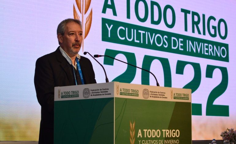 se-viene-la-siembra-de-trigo:-cual-es-el-principal-desafio-que-tiene-el-cereal-segun-un-experto