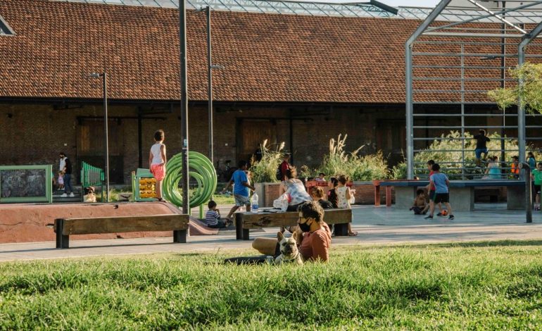 las-plantas-nativas-estan-de-moda,-¿siempre-convienen-en-un-proyecto-de-paisajismo?