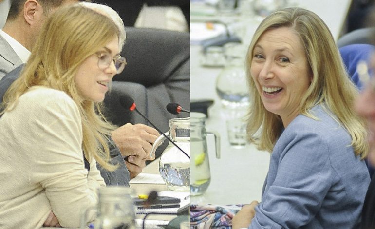 “bruta”,-“la-tortilla-se-vuelve”-y-“mi-cuil-no-esta-virgen”:-agresivo-cruce-entre-lilia-lemoine-y-myriam-bregman-en-el-congreso