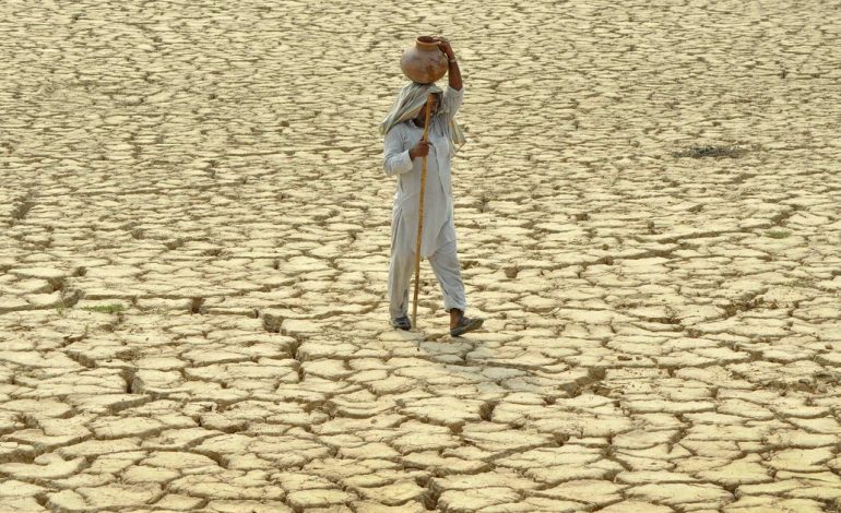 el-agro-indio-enfrenta-una-brutal-crisis-hidrica