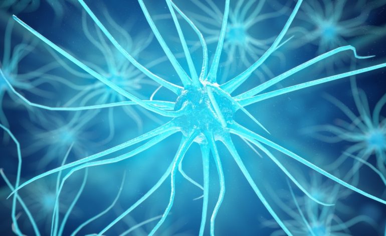 como-se-llama-el-proceso-que-posibilita-la-conexion-entre-neuronas