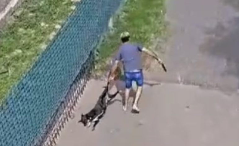 maltrato-animal-en-cordoba:-se-complica-la-situacion-del-falso-veterinario-que-apaleo-a-un-perro-en-un-country-y-hay-mas-imputados