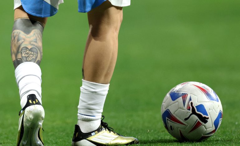 copa-america-2024:-el-mal-estado-de-la-canchas-les-pone-los-pelos-de-punta-a-los-entrenadores-y-crece-el-temor-por-posibles-lesiones