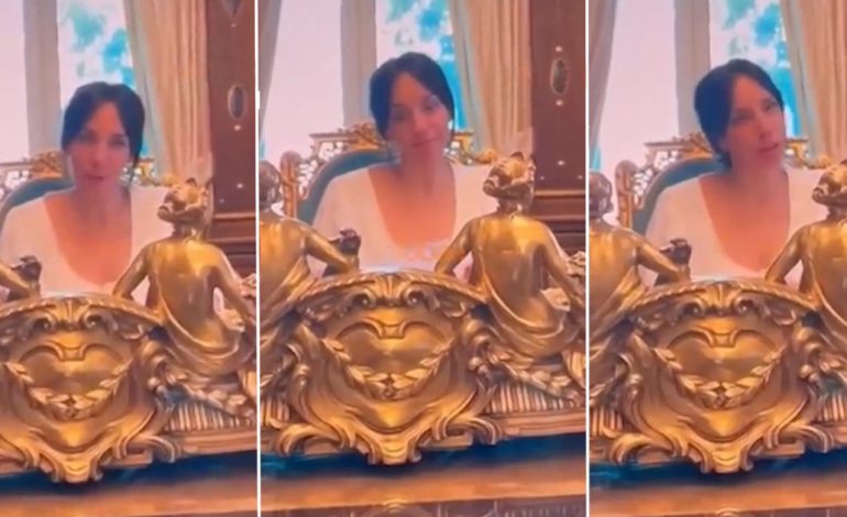 difunden-un-nuevo-video-de-tamara-pettinato-con-alberto-fernandez-en-casa-rosada:-sale-sentada-en-el-sillon-presidencial-y-le-dice-“te-amo”