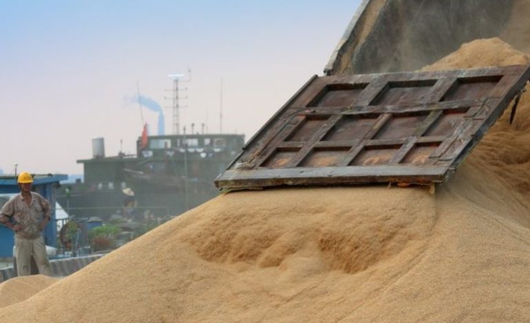 china:-la-crisis-en-la-industria-porcina-impacta-en-la-demanda-de-las-importaciones-de-soja