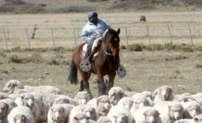 empleo-rural:-una-gremial-se-reunio-con-el-gobierno-para-debatir-los-costos-laborales