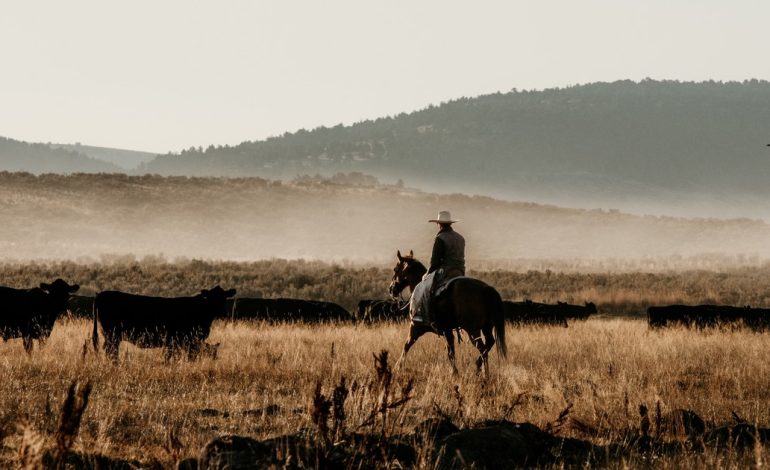 larga-vida-al-western-(tambien-al-criollo)
