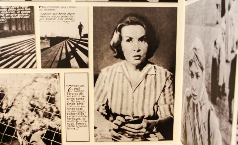 las-fotonovelas-de-amor-que-cautivaron-a-la-argentina:-el-malba-homenajea-a-george-friedman