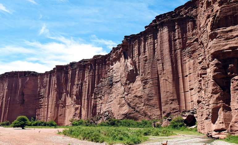que-animales-se-pueden-ver-en-el-parque-nacional-talampaya