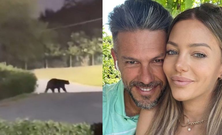 un-oso-en-la-casa-de-martin-demichelis:-del-susto-de-evangelina-anderson-en-un-video-a-las-burlas-de-los-mexicanos-al-dt-argentino