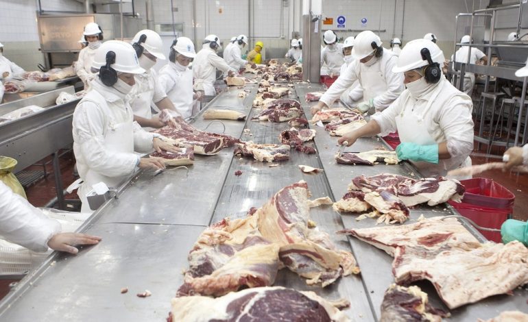 argentina-es-el-unico-pais-de-la-region-en-el-que-no-crecieron-las-exportaciones-de-carne
