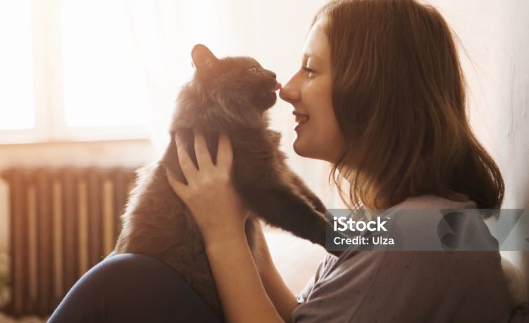 nueva-diplomatura-en-la-uba-te-ensena-a-entrenar-a-tu-gato:-como-inscribirse-y-cuanto-dura
