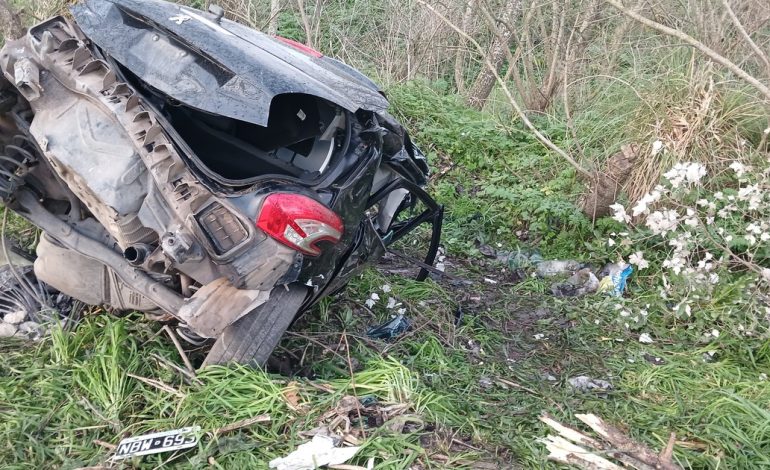 otra-tragedia-en-ruta-88:-un-conductor-murio-tras-derrapar-y-chocar-contra-un-poste-de-hormigon-y-un-arbol