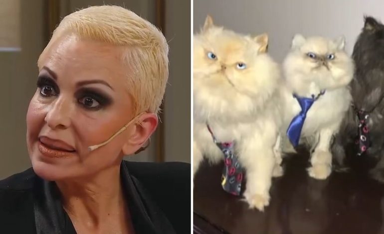 daniela-cardone-revelo-por-que-decidio-embalsamar-a-sus-siete-gatos:-“estan-en-una-vitrina”