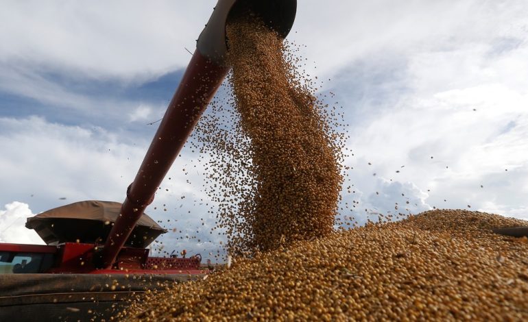 pese-a-la-presion-del-campo,-el-gobierno-oficializo-la-suba-de-las-retenciones-a-la-soja-y-al-maiz