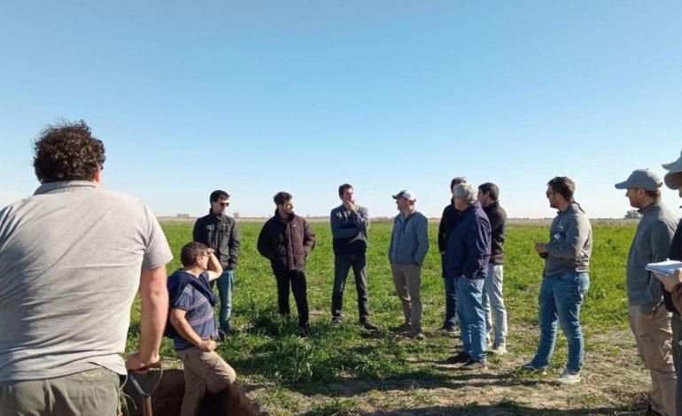 tasas-positivas-y-margenes-estrechos:-el-nuevo-escenario-financiero-del-agro