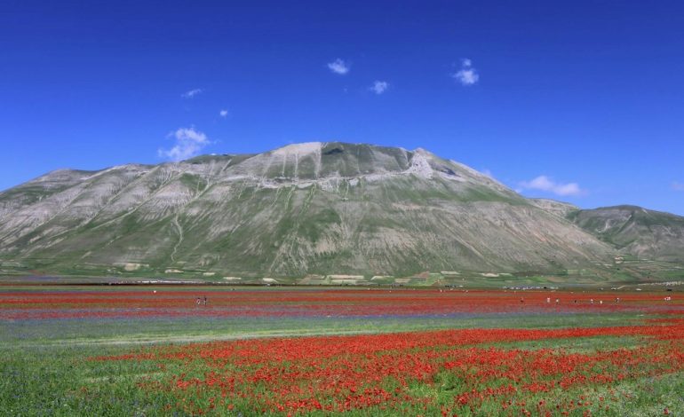 el-pueblo-de-italia-que-se-transforma-en-un-mar-de-flores-cada-primavera