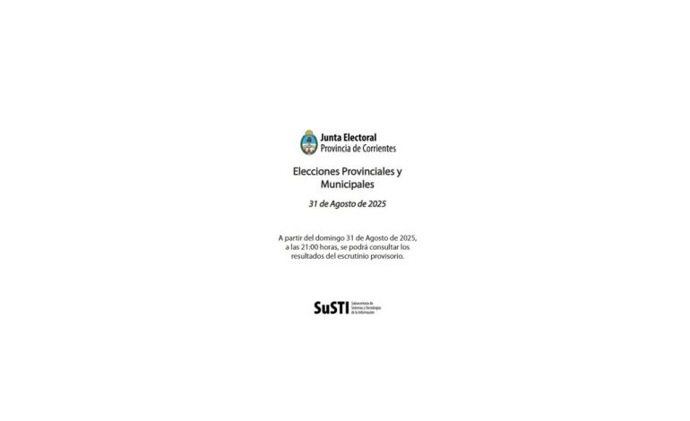 la-web-oficial-de-las-elecciones-en-corrientes-no-funciono:-mas-de-una-hora-de-demora-y-multiples-mensajes-de-error