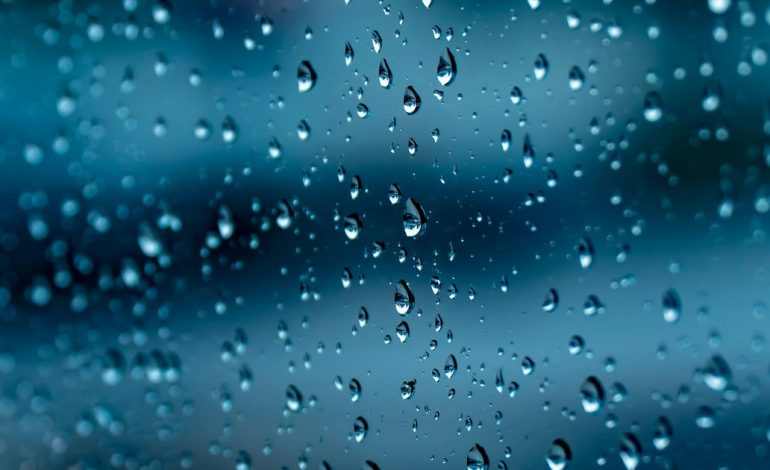 clima-hoy-en-tampa,-estados-unidos:-el-pronostico-del-tiempo-para-este-viernes-12-septiembre-de-2025