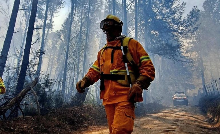 ESTÁ CONTENIDO EL INCENDIO DE LA POBLACIÓN.
