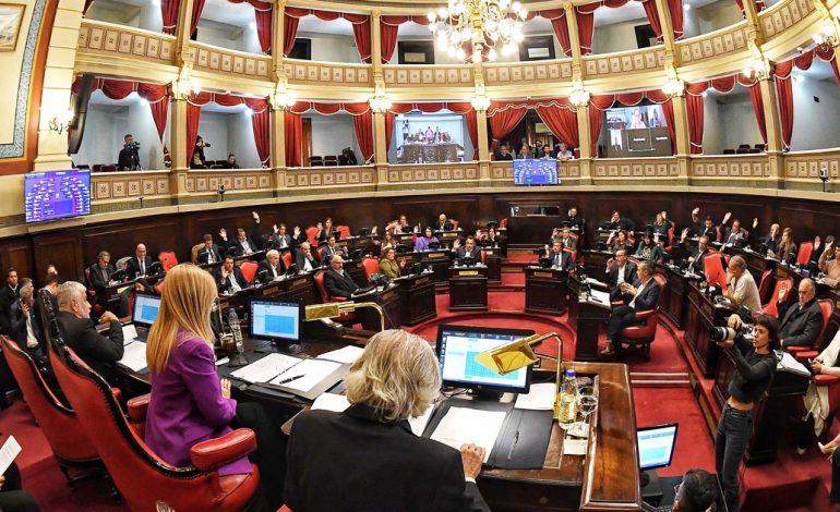 tras-seis-meses-de-paralisis,-el-senado-bonaerense-tiene-su-primera-sesion-del-ano:-bronca-del-kirchnerismo-duro-y-libertarios-por-los-proyectos-que-se-tratan